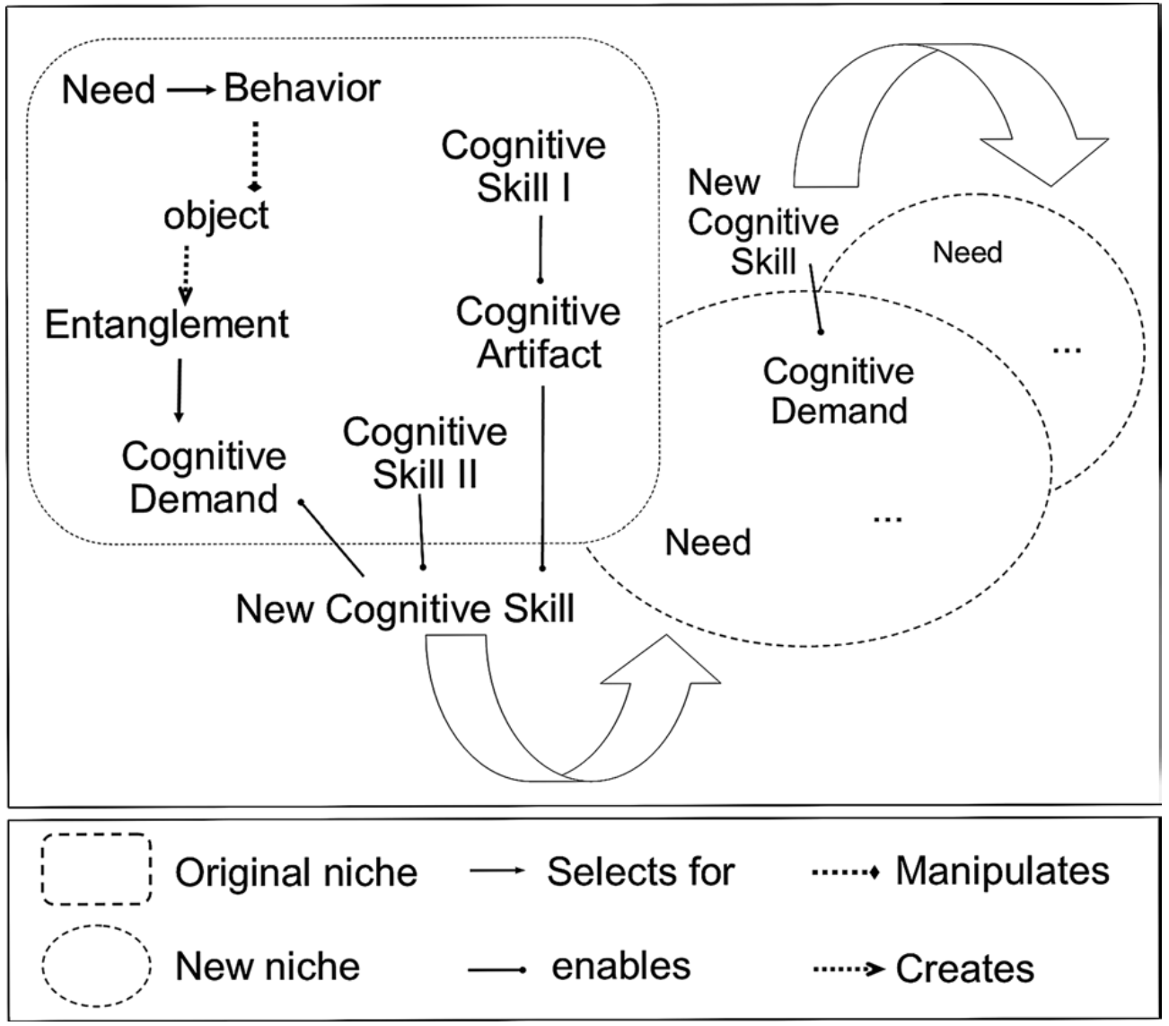 Модель когнитивной эволюции из Seitz (2020). Стратегия отбирается на основе нужды (функции), связана с манипулированием или реакцией на объект в среде, который создает когнитивную опору. Всё это вкупе с существующим когнитивным навыком создаёт давление отбора для следующей нужды (функции).